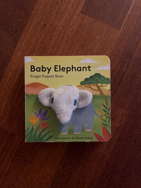 Baby elephant bog